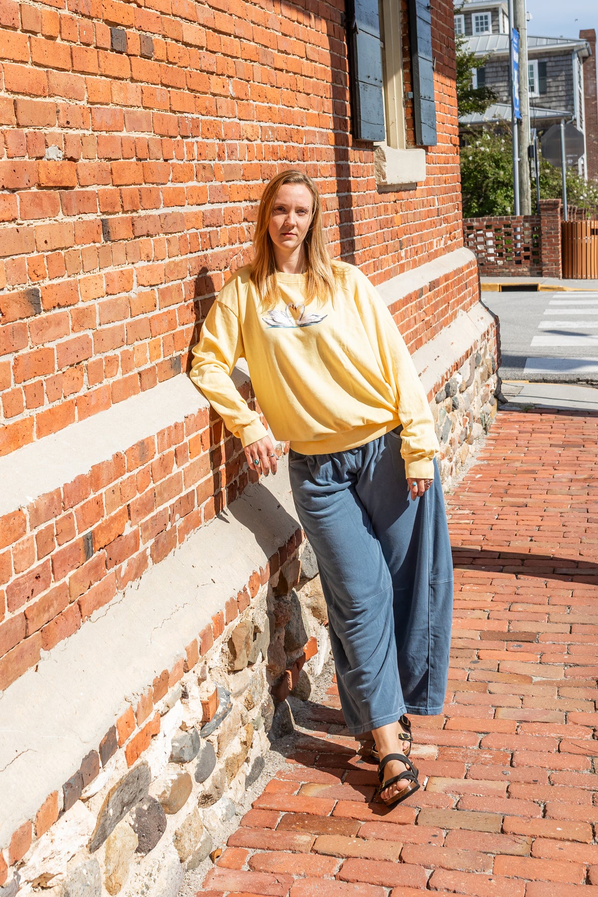 Swan Sweatshirt - Vintage Wash